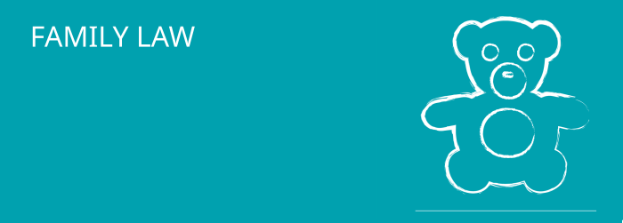 A light blue banner with the words FAMILY LAW and the image of a teddy bear.